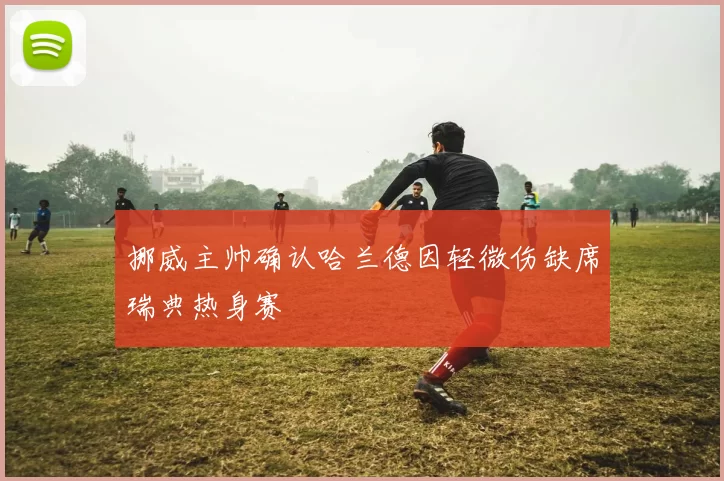 挪威主帅确认哈兰德因轻微伤缺席瑞典热身赛